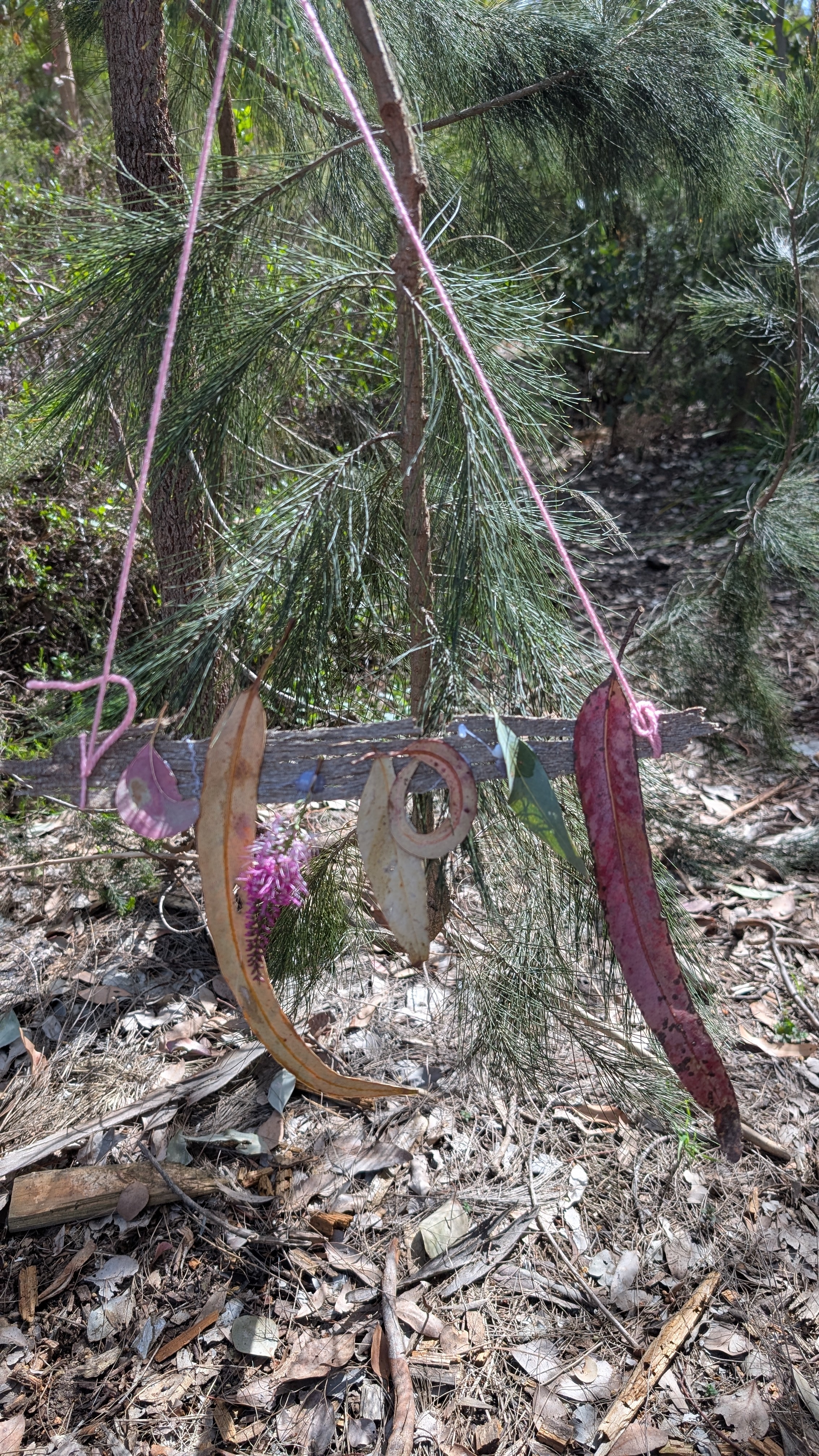 We had a lovely day at the park working on some Park Hangings. We took a hot glue gun and some yarn and got searching for fun stuff to bring together. Looking for different sizes, colours and textures left us with a fun new piece of park art! 

In the end it turns out this was a 
