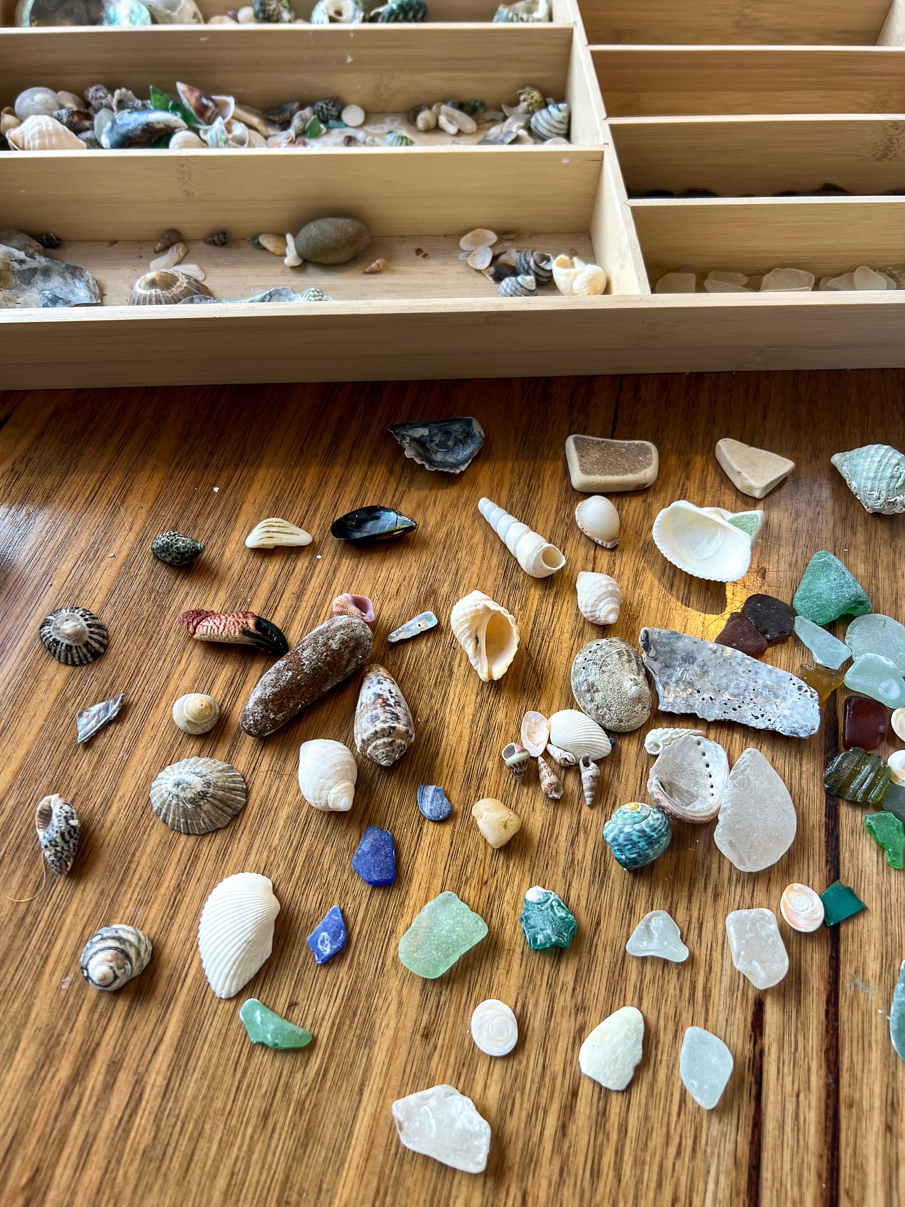 Image 3 - Buried Clay Treasures
